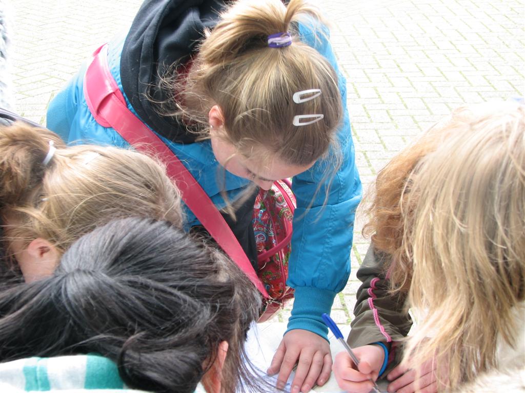 IMG_9778 (Large).jpg